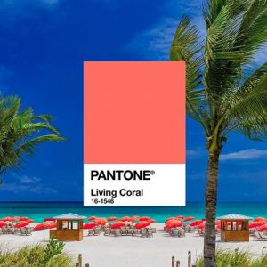 Creation_Pantone_coral