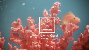 Creation_Pantone_coral